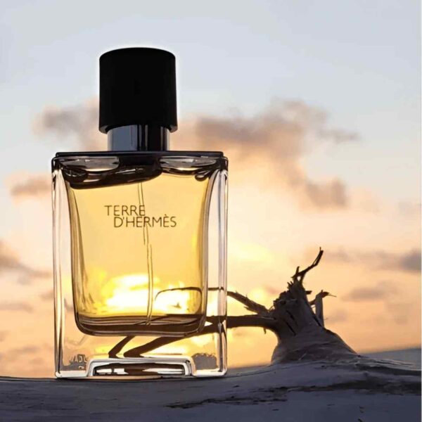 Terre d'Hermes 100 ml