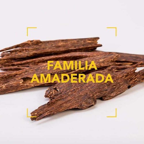familia-amaderada-1