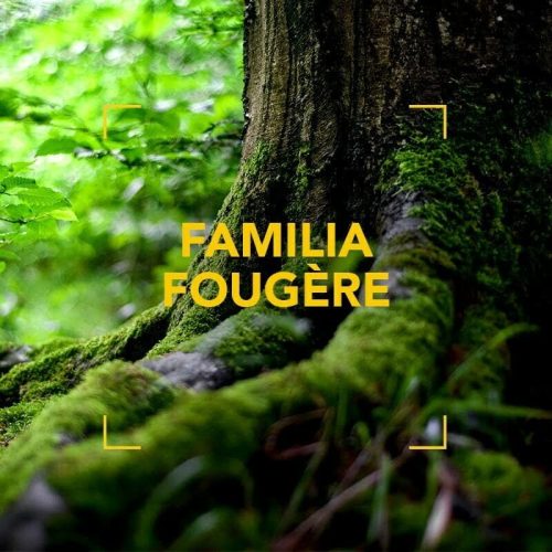 familia-fougere-1